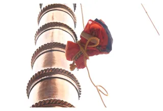 http://nithyananda.org/sites/default/files/photo-gallery/IMG_9906_0.JPG