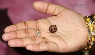 https://www.nithyananda.org/sites/default/files/photo-gallery/Ma-Nithya-Devi-final_4_0.jpg?1311014580