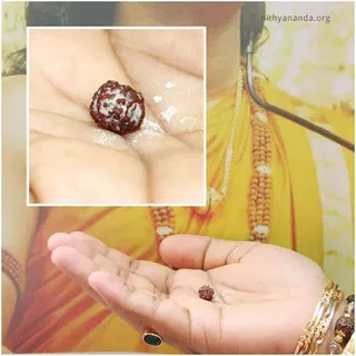 https://www.nithyananda.org/sites/default/files/photo-gallery/Ma-Nithya-Devi-miracles-collage-final.jpg?1311405091