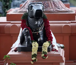 http://nithyananda.org/sites/default/files/photo-gallery/Nandhi_0.jpg