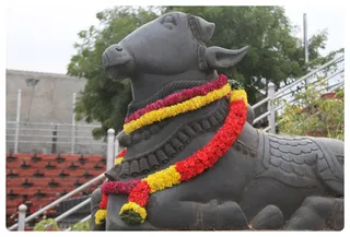 https://nithyananda.org/sites/default/files/photo-gallery/Nithyanananda_Swami%20%2811%29.JPG?137507829