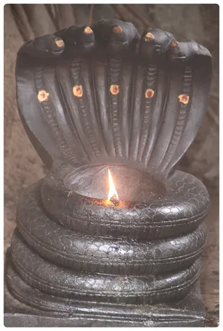 http://nithyananda.org/sites/default/files/photo-gallery/Nithyananda_Swami-10-6-13-23.JPG