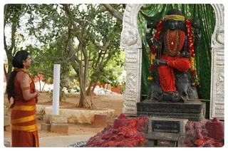 http://nithyananda.org/sites/default/files/photo-gallery/Nithyananda_Swami-10-7-13-9.JPG
