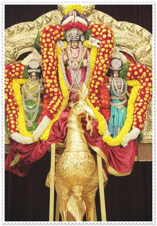 https://www.nithyananda.org/sites/default/files/photo-gallery/Nithyananda_Swami-11-11-13%20%2822%29.JPG
