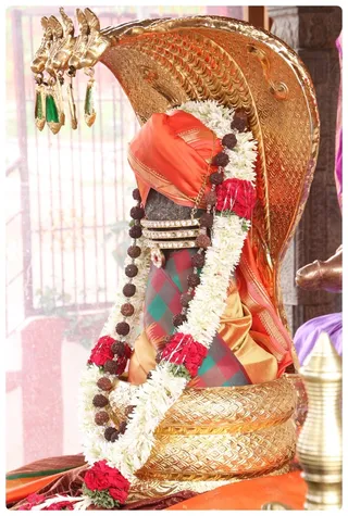 https://nithyananda.org/sites/default/files/photo-gallery/Nithyananda_Swami-11-6-13-12.JPG?1370969354