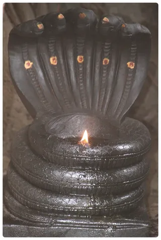 https://nithyananda.org/sites/default/files/photo-gallery/Nithyananda_Swami-11-6-13-7.JPG?1370968441