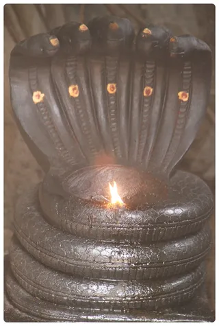 http://nithyananda.org/sites/default/files/photo-gallery/Nithyananda_Swami-13-6-1315.JPG