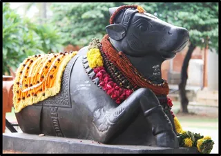 Ananda Nandhi