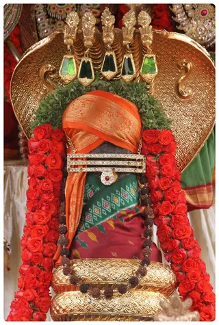 http://nithyananda.org/sites/default/files/photo-gallery/Nithyananda_Swami-14-6-1311.JPG