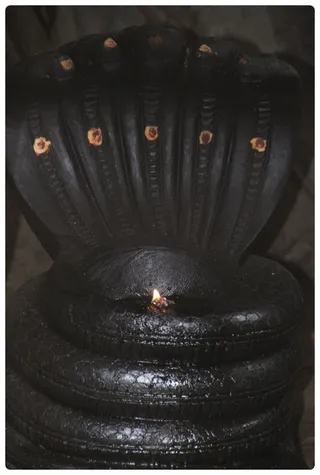 http://nithyananda.org/sites/default/files/photo-gallery/Nithyananda_Swami-14-6-135.JPG