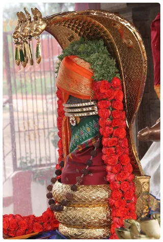 http://nithyananda.org/sites/default/files/photo-gallery/Nithyananda_Swami-14-6-138.JPG