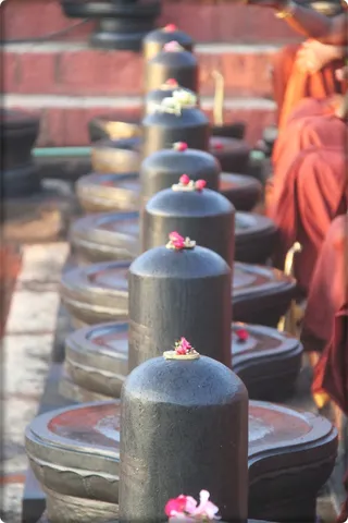 https://www.nithyananda.org/sites/default/files/photo-gallery/Nithyananda_Swami-15-10-13%20%2814%29.JPG