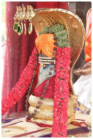 http://nithyananda.org/sites/default/files/photo-gallery/Nithyananda_Swami-15-6-13-13.JPG