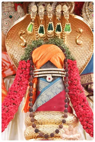 http://nithyananda.org/sites/default/files/photo-gallery/Nithyananda_Swami-15-6-13-15.JPG