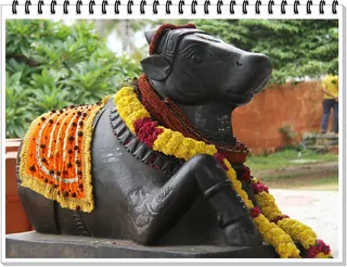 Anandha Nandi