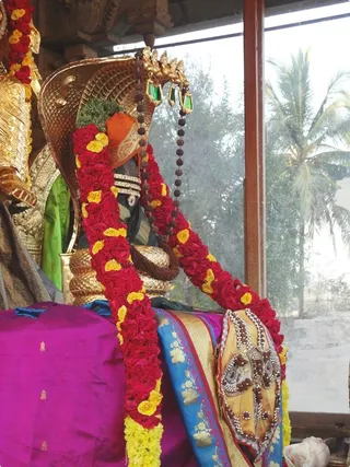 https://nithyananda.org/sites/default/files/photo-gallery/Nithyananda_Swami-18-12-13-1%20%2826%29.JPG?1387641728