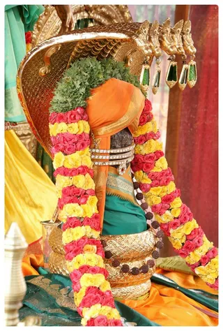 http://nithyananda.org/sites/default/files/photo-gallery/Nithyananda_Swami-18-6-13-19.JPG