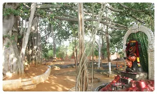 Dakshinamurthy under Banyan tree