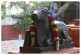 Ananda Nandhi