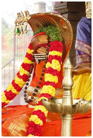 http://nithyananda.org/sites/default/files/photo-gallery/Nithyananda_Swami-20-61-13-14_0.JPG