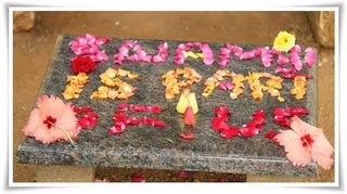 http://nithyananda.org/sites/default/files/photo-gallery/Nithyananda_Swami-21-8-13%20%2813%29.JPG