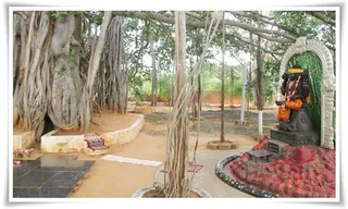 http://nithyananda.org/sites/default/files/photo-gallery/Nithyananda_Swami-21-8-13%20%2816%29.JPG