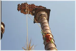 https://www.nithyananda.org/sites/default/files/photo-gallery/Nithyananda_Swami-22-11-13-2%20%284%29.JPG