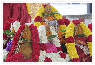 http://nithyananda.org/sites/default/files/photo-gallery/Nithyananda_Swami-22-8-13%20%283%29_0.JPG