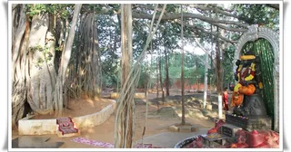 http://nithyananda.org/sites/default/files/photo-gallery/Nithyananda_Swami-22-8-13%20%288%29.JPG