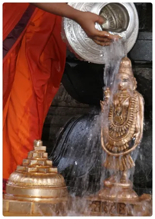http://nithyananda.org/sites/default/files/photo-gallery/Nithyananda_Swami-23-6-13-15.JPG