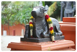 https://nithyananda.org/sites/default/files/photo-gallery/Nithyananda_Swami-24-05-13-3.JPG?1369414116