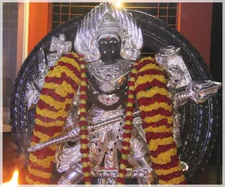 https://www.nithyananda.org/sites/default/files/photo-gallery/Nithyananda_Swami-25-11-13-3%20%281%29.JPG