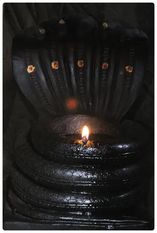 https://nithyananda.org/sites/default/files/photo-gallery/Nithyananda_Swami-28-6-13-12.JPG?1372440908