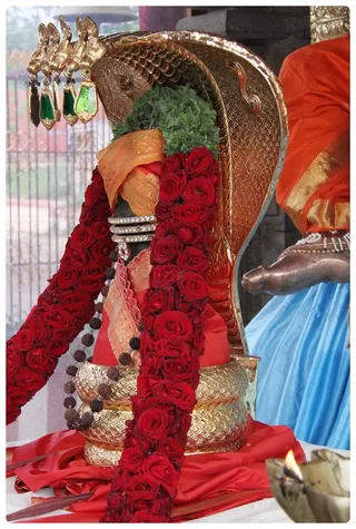 https://nithyananda.org/sites/default/files/photo-gallery/Nithyananda_Swami-28-6-13-18.JPG?1372440909