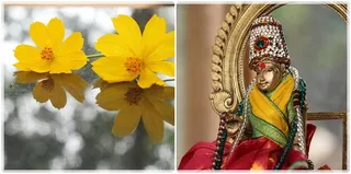 Bhoga Shakthi