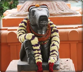 Ananda Nandhi