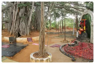 http://nithyananda.org/sites/default/files/photo-gallery/Nithyananda_Swami-3rd-august%202013%20%2810%29.JPG