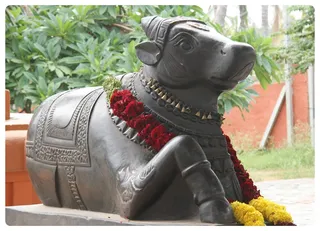 Nandhi