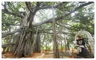 https://nithyananda.org/sites/default/files/photo-gallery/Nithyananda_Swami-4-7-13-36.JPG?1372955709