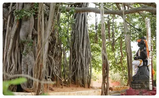 https://nithyananda.org/sites/default/files/photo-gallery/Nithyananda_Swami-4-7-13-41.JPG?1372955859