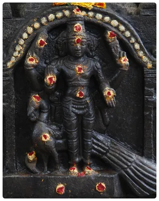 https://nithyananda.org/sites/default/files/photo-gallery/Nithyananda_Swami-4-7-13-43.JPG?1372955859