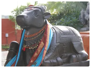 Nandhi