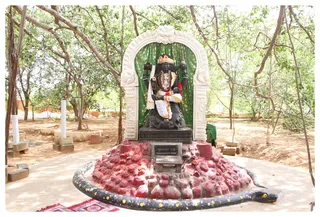 https://nithyananda.org/sites/default/files/photo-gallery/Nithyananda_Swami06-06-2013-2.JPG?1370542995