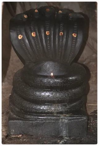http://nithyananda.org/sites/default/files/photo-gallery/Nithyananda_Swami10-6-2013-1.JPG