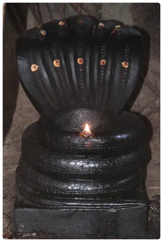 https://nithyananda.org/sites/default/files/photo-gallery/Nithyananda_Swami16-6-13-6.JPG?1371535731