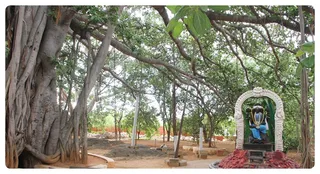 https://nithyananda.org/sites/default/files/photo-gallery/Nithyananda_Swami16-6-13-7.JPG?1371535738