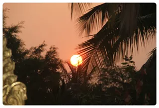 http://nithyananda.org/sites/default/files/photo-gallery/Nithyananda_Swami2703131.JPG