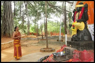 https://www.nithyananda.org/sites/default/files/photo-gallery/Nithyananda_Swami_11-9-13%20%2815%29.JPG