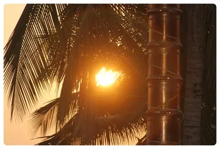http://nithyananda.org/sites/default/files/photo-gallery/Nithyananda_Swami_2603135.JPG