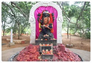 https://nithyananda.org/sites/default/files/photo-gallery/Nithyananda_Swami_28-7-13%20%289%29.JPG?1375043279